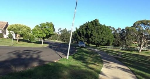 Malamute & Husky chase a Kangaroo and check out a culvert...
