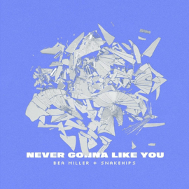 BEA MILLER + SNAKESHIPS "NEVER GONNA LIKE YOU"