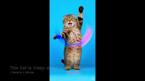 This Cat is Crazy about Mariachi Music (shorts)