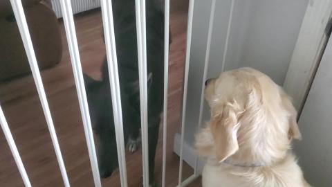 Woo And Basil Reunited