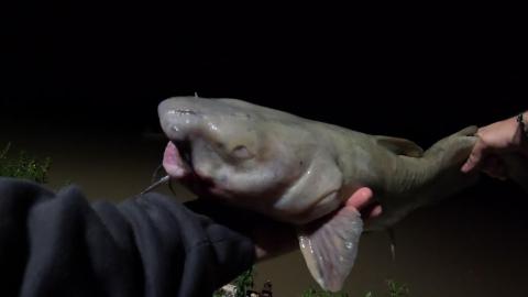 Great fishing Trip 