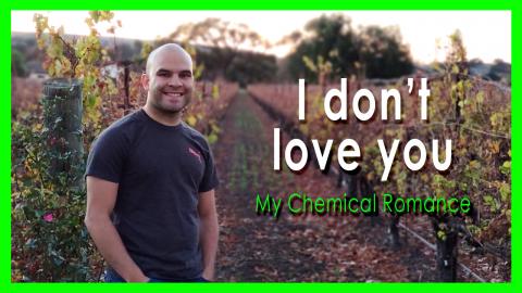 I DON'T LOVE YOU - My Chemical Romance | - (COVER) - Luis...