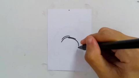 Drawing doodle V8 shorts