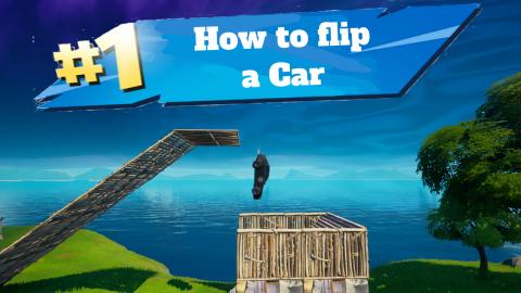 how to flip a car for Interact with an overturned cat to ...