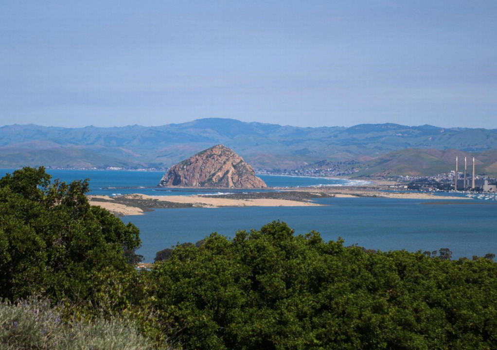 Hiking Morro Dunes Ecological Reserve | Sacramento Bee