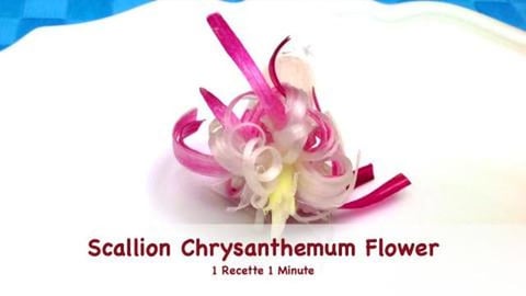 Scallion Chrysanthemum Flower (shorts)