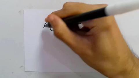 Drawing Graffiti cartoon-pig shorts