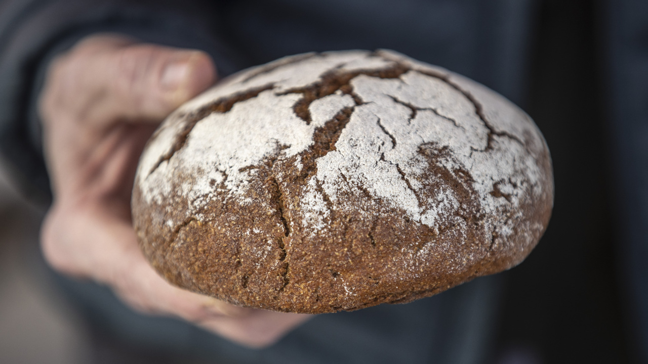Baker uses Kentuckygrown rye to make bread Lexington Herald Leader