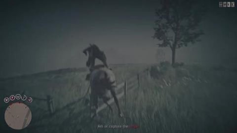 Horse vs Fence in Red Dead Online