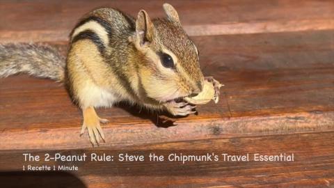 The 2-Peanut Rule: Steve the Chipmunk's Travel Essential ...
