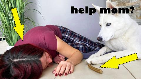 Faint in front of my Dog!