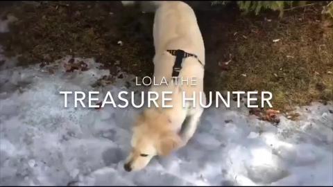 Lola the Treasure Hunter 