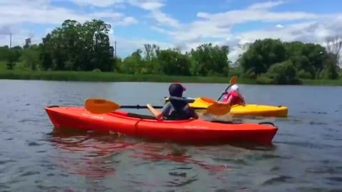 Kayak Adventures and Turtles on the River
