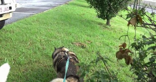 What can we see walking from the train station