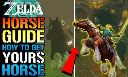 Zelda: Tears Of The Kingdom Horse Guide! How To Get Your ...