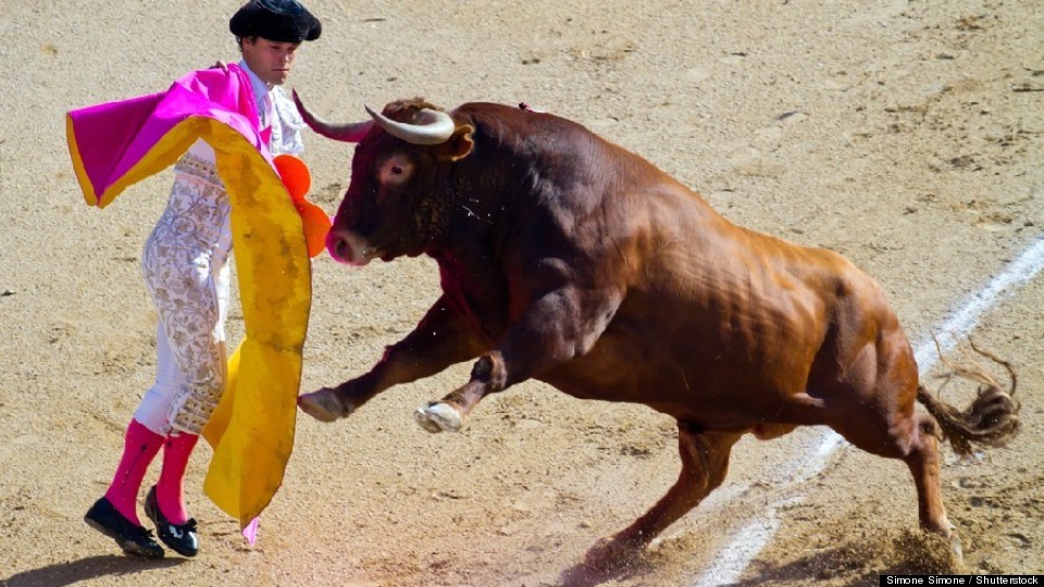 Spain Strengthens Animal Rights, But Exempts Bullfights | HuffPost ...