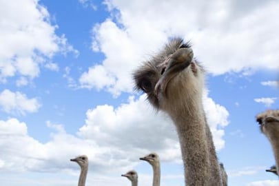 We are in AFRICA!! - This is a culture SHOCK! (Episode 2)...