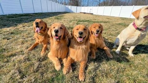 We Finally Get to Swim!