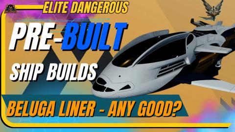 Pre-Built Beluga Liner - Is It Worth the Money - Elite Da...