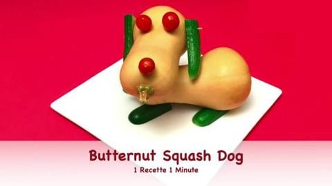 Butternut Squash Dog / Food Decoration (shorts)