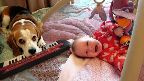 Our Dog Music Makes Newborn Baby Cry