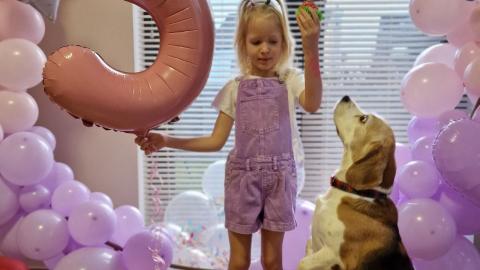 Guilty as charged. When a Beagle Ruins a Birthday Party