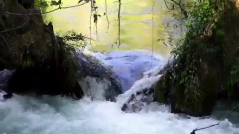Serene Nature Ambience  Relaxing Music to Ease Anxiety & ...