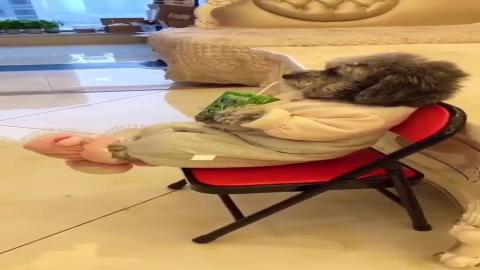 What a cute and funny fella! ❤