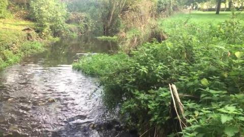 Walk Through Physic Gardens