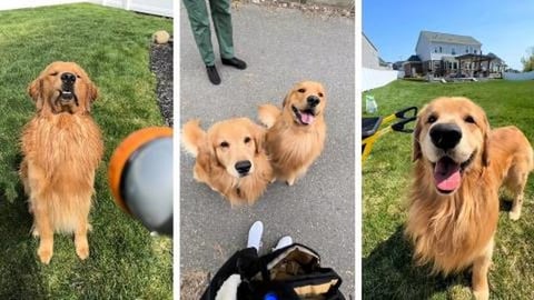 We Just Want to Help!