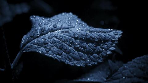 Sad Calm Ambient Music - Faded Memories - ErikMMusic 