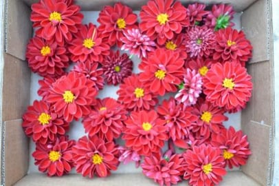 How to Dry & Store Edible Flowers: Kitchen Gardening with...