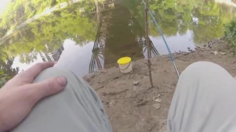 Random Gold Fish Jumps While Fishing Thames River