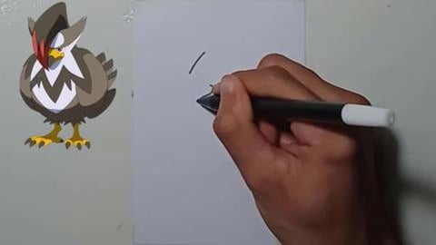 Drawing Pokemon staraptor shorts