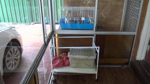 Poor Wolf is upset, but we can fix that