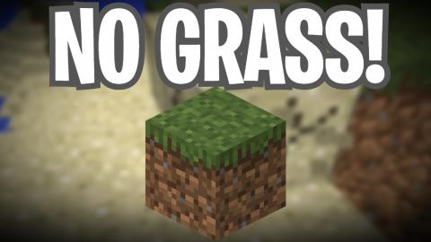 Minecraft But I Can't Touch Grass!