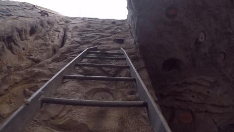 I FOUND THIS AT AN ABANDONED PLACE, SO I TRIED TO CLIMB I...