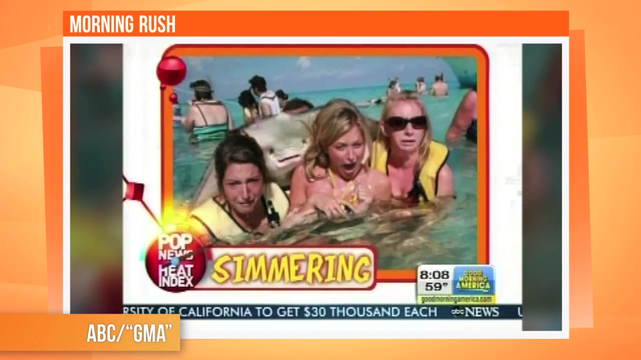 Morning Rush Viral 9/27/12 | HuffPost Videos