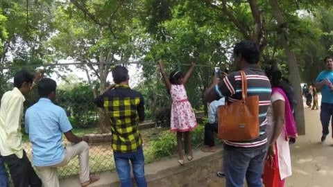 Elephants at Bannerghatta Zoo | Bengaluru