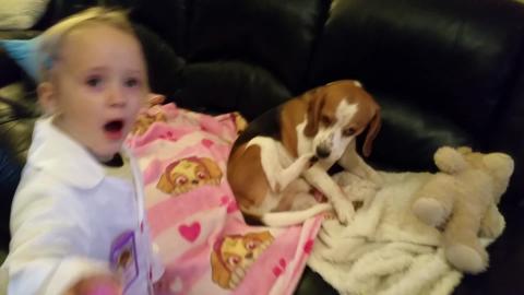 Poor Dog Hurts His Paw and His Best Friend Takes Care of ...