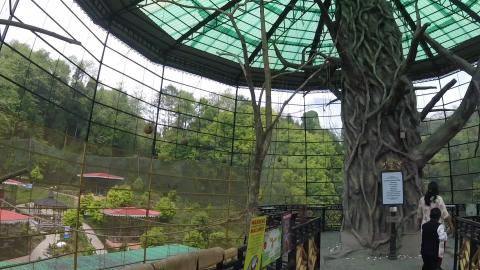 Giant Bird Cage of Sidkeong Tulku Bird Park | Sikkim