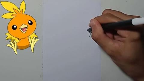 Drawing Pokemon torchic 