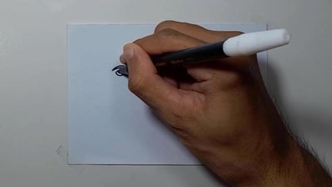 Drawing graffiti great white sharkk shorts