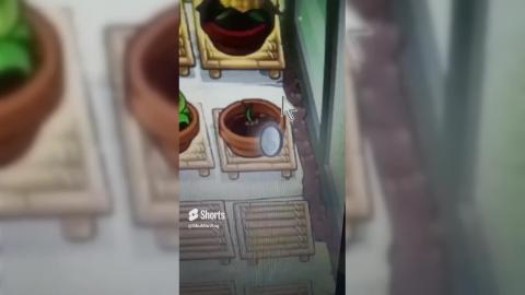 Grow up! Plants vs Zombies Zen Garden