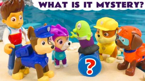Paw Patrol Ryder and the Pups solve the mystery of the Su...
