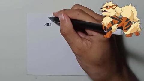Drawing Pokemon Arcanine Shorts