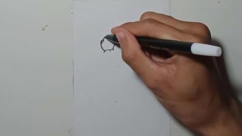 Drawing cartoon Grafiti DONUT SKATE