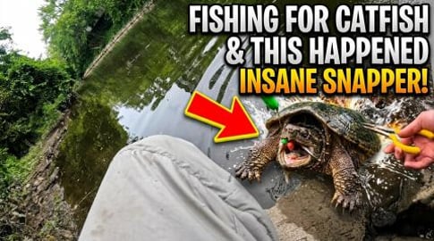 Turtle Caught on the rig