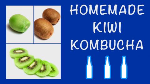 Homemade Kiwi Fruit Kombucha / Healthy, Sparkling & Refre...