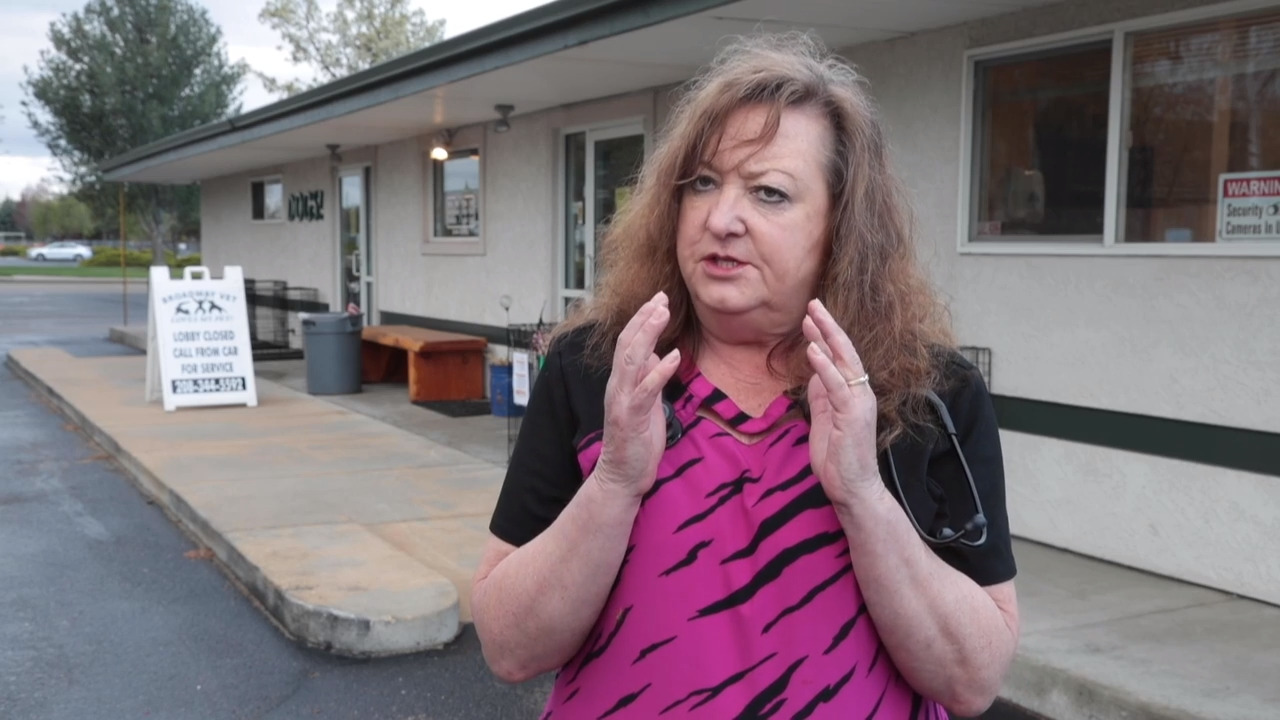 Boise veterinarian Dawn Sessions offers advice on pets and the